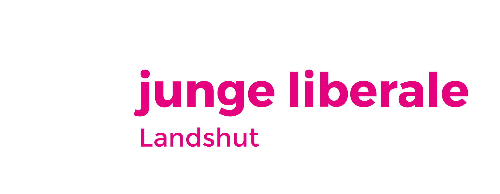 Junge Liberale Landshut